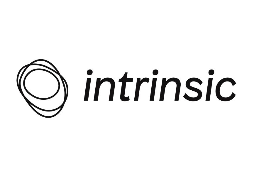 Logo intrinsic Kunde von speakture Graphic Recording